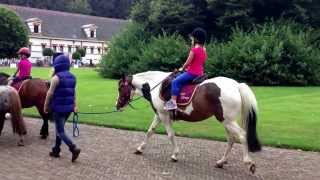 preview picture of video 'Paardrijden op Het Loo'