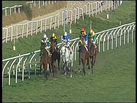 Galoppo 06/02/2016 - 3° corsa