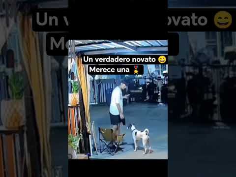 #viral #perro #parati #dog #canilla #mascotas #pets #humor #comedia #drama #memes #cachorros #fyp