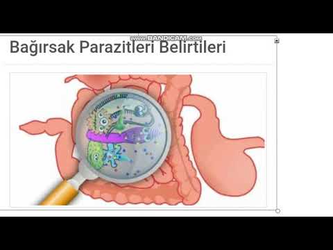 condiloame în buric