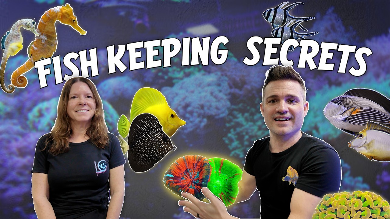 Reef Builders Visits Lush Corals