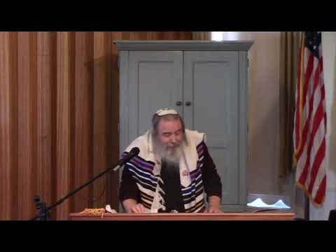 Rabbi Moshe Beit Torah Parashah 2  Noach(Walked with God?) 6:9–11:32 11022024