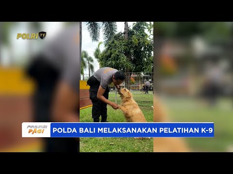 PERSONEL UNIT SATWA DITSAMAPTA POLDA BALI MELAKSANAKAN PELATIHAN K-9