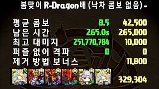 [봄맞이 R-Dragon배] 초환생 사쿠야 고정 pt. (329,304점)