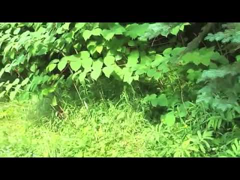 j090 Spring   OpenC Instrumental