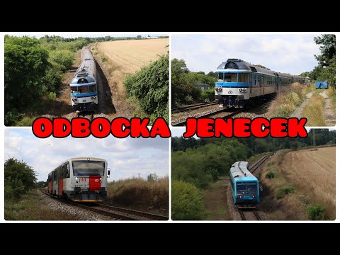 Vlaky Odbočka Jeneček • 31.7.2025