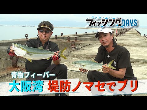 【フィシングDAYS】#127 青物 大阪湾堤防ノマセでブリ