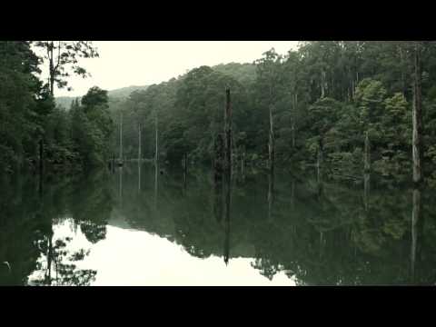 Tilman Robinson - Yours, Deer Heart [OFFICIAL VIDEO]