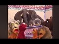 Elmo S World Wild Animals Song But With The Wild Wild West Song Instrumental