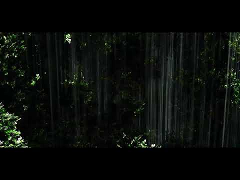 Animated Jungle made with iClone.