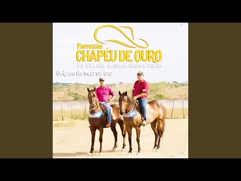 Origem do Meu Sertão