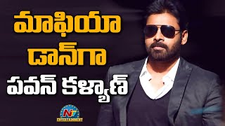 మాఫియా డాన్ గా పవన్ కళ్యాణ్ | Box Office