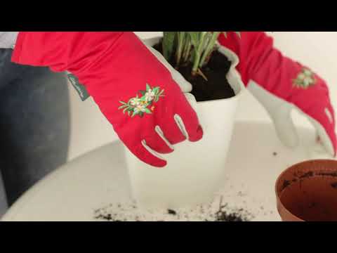 Cómo montar el Minigarden Corner Column