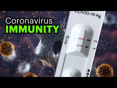How Long Does COVID-19 Immunity Last? - YouTube