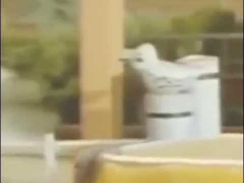 Ferry Boat Fred Episode 7   Jean The Submarine