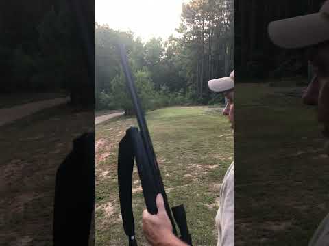 CHARLES DALY FIELD MAXI-MAG 12 GAUGE 3 1/2” MAGNUM REVIEW! HUNTING FIREARMS VIDEO #1!