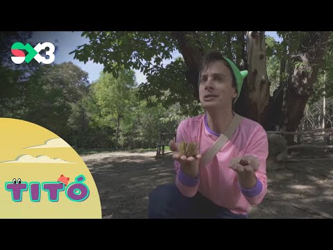 Excursió a la castanyeda | Titó