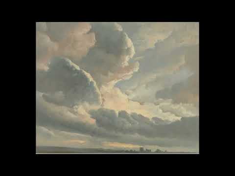 [FREE] selug & senar x wallace cleaver + ambient Type beat "Mucha" (Prod. BB'S + 6minaprès)