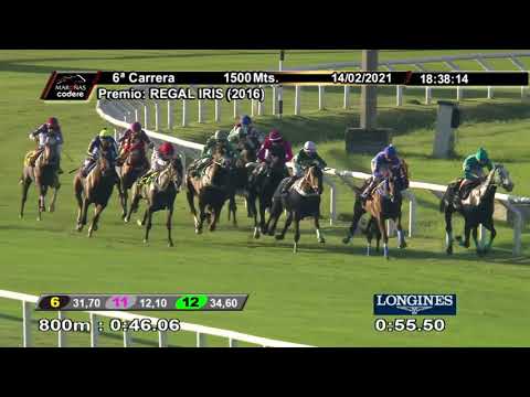 210214 c06 JUSTICE CAT