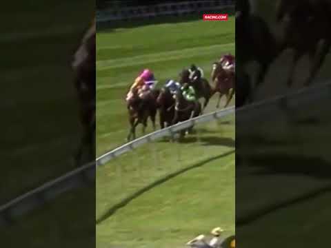 Better Loosen Up MOWS THEM DOWN in the 1990 Cox Plate 😤 #shorts #horses #flashback #coxplate