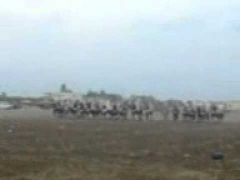 moussem sidi el aidi 1.3gp