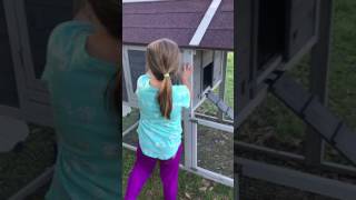 Chicken Coops For Sale Tractor Supply मफत ऑनलइन