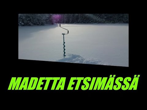 Madetta etsimässä