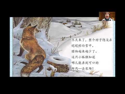 小狐狸历险记
