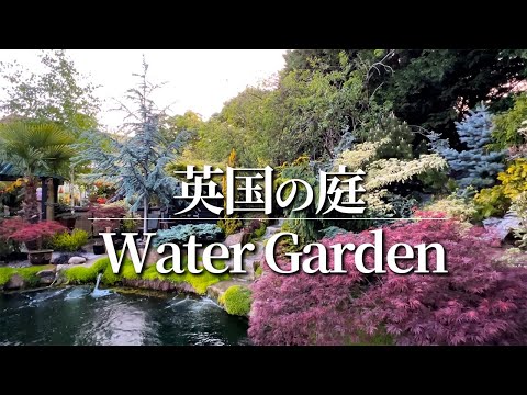 広範囲にわたる屋上緑化:建設と植栽のヒント トピックス