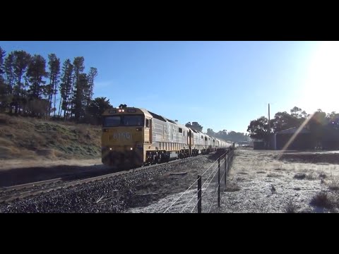 Quad 81's at Bathurst, NSW