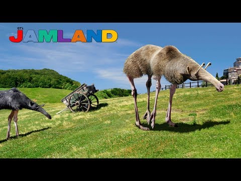 GT's JAMLAND - Reunion Gig 2019  "Superstition" (Featuring: Mike Pugh)