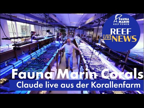 Fauna Marin Reef News Live. Plaudern zur Weihnachtszeit und was macht der Onkel wieder in der Farm …