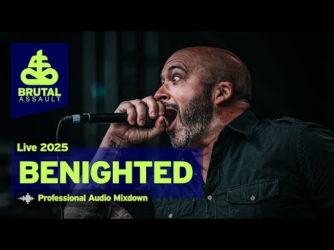 Brutal Assault 28 - Benighted (live) 2025