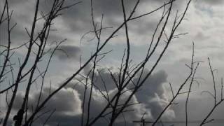 Fangoria - gracias pero no