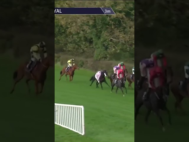 Thumbnail for Post ID: 3HijbAJDLss