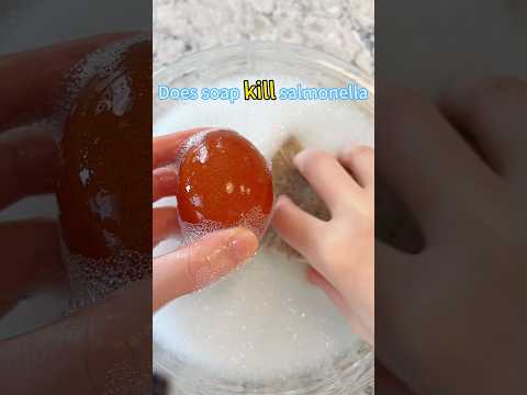 How to Make Your Raw Eggs Salmonella Free 🤢➡️😋✨