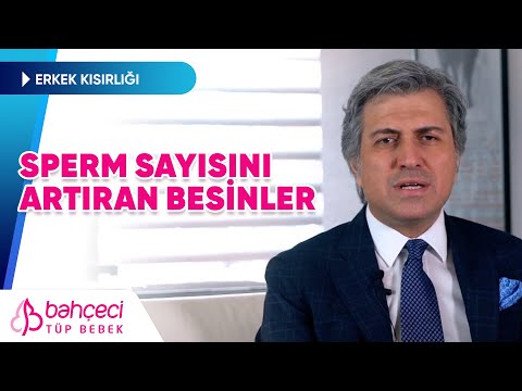 Sperm Sayısını Artıran Besinler