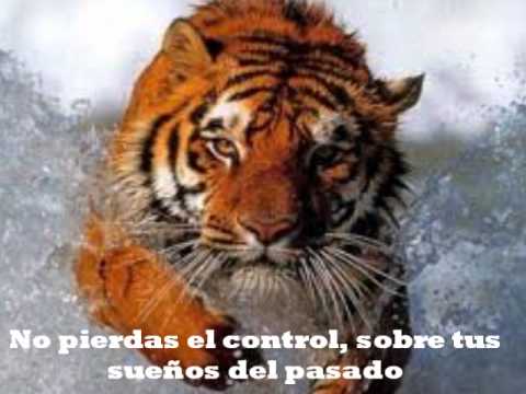 Eye Of The Tiger (El Ojo del Tigre) Subtitulado al español