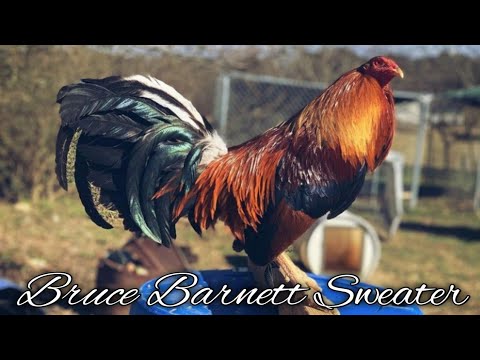 Bruce Barnett Sweater - BEAR LINE FARM