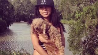 Toy Poodle shower routine |37 Lebee Ongco