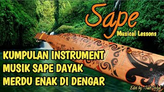Download lagu SAPE INSTRUMENT MUSIK DAYAK MERDU ENAK DI DENGAR... mp3