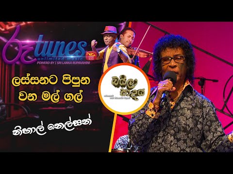 Lassnata Pipuna | ලස්සනට පිපුන වන මල් ගල් | Nihal Nelson | Baila Sadaya
