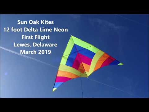 Sun Oak Kites 12 Foot Delta in Lime Neon Lewes DE