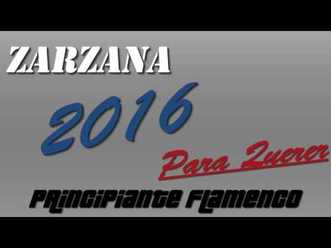 Zarzana -Para Querer | Principiante Flamenco