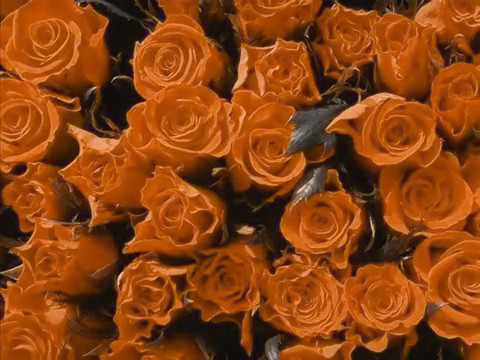 OFICIO DE NOSSA SENHORA 'CANTADO'