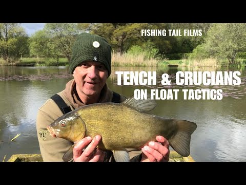 Tench and Crucians fishing in the margins on float fishing tactics #tenchfishing #cruciancarp