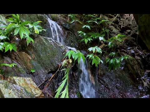 Мон Ого Ул гүнлэхүй