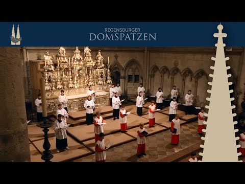 Machet die Tore weit – Regensburger Domspatzen