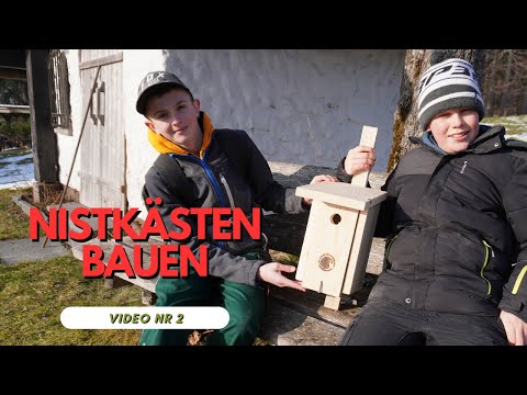 Pfadfinder Missen - Nistkästen bauen