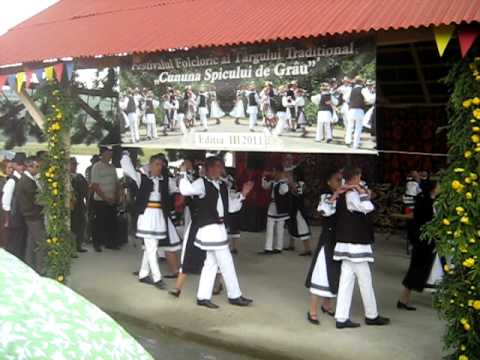 02 - Craiesti Mures - 31 iulie 2011 - Cununa spicului de grau -MVI_2893.AVI